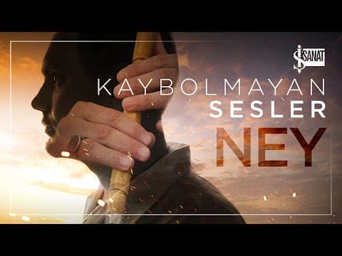 Kamış Seçimi ve Kurutma Süreci